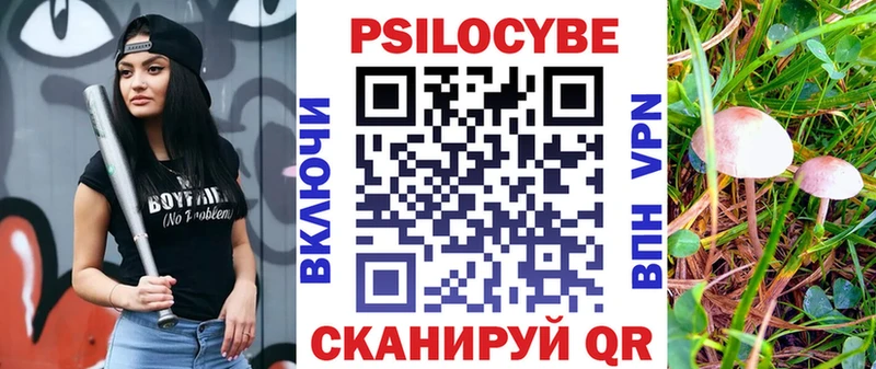 наркошоп  маркетплейс официальный сайт  Галлюциногенные грибы Psilocybine cubensis  Бавлы 